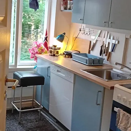 Single And Cozy Apartment Oslo Exterior photo