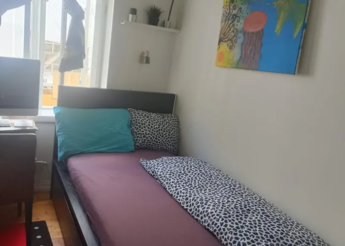 Single And Cozy