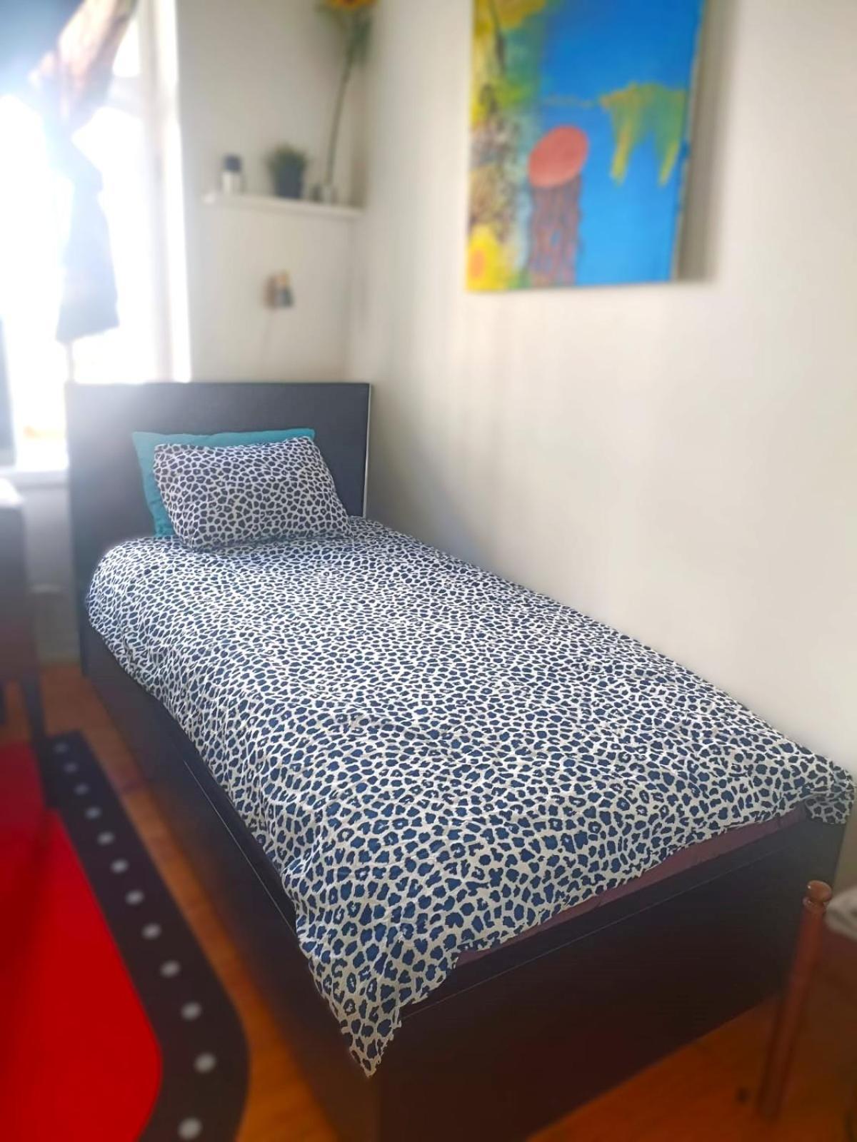 Single And Cozy