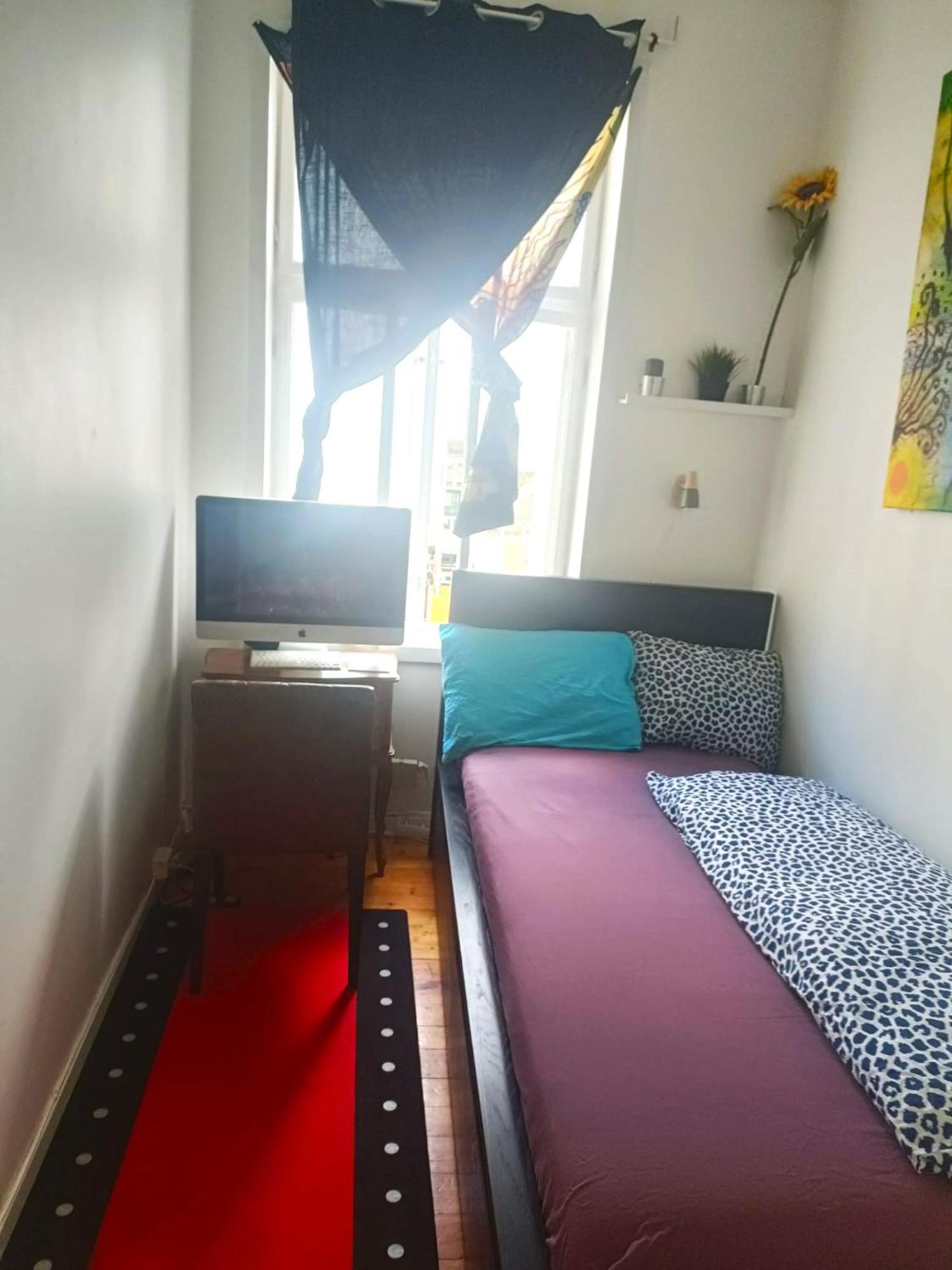 Single And Cozy Oslo